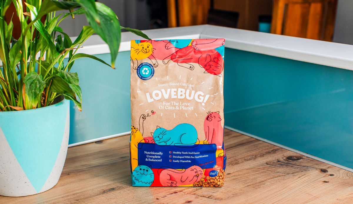 New to Lovebug s insect based cat food Here s the Lovebug 101